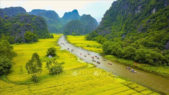 Những cánh đồng lúa chín rộ ở Tam Cốc (huyện Hoa Lư, tỉnh Ninh Bình). Ảnh: Minh Đức/TTXVN.