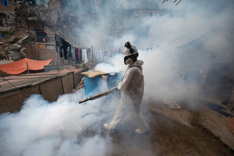 Một công nhân xịt thuốc diệt muỗi để ngăn chặn sự lây lan của bệnh sốt xuất huyết.