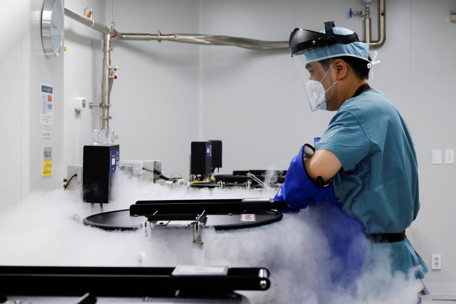 Một nhân viên phòng thí nghiệm kiểm tra bể sinh học chứa trứng trữ đông. Ảnh: Japan Times. 