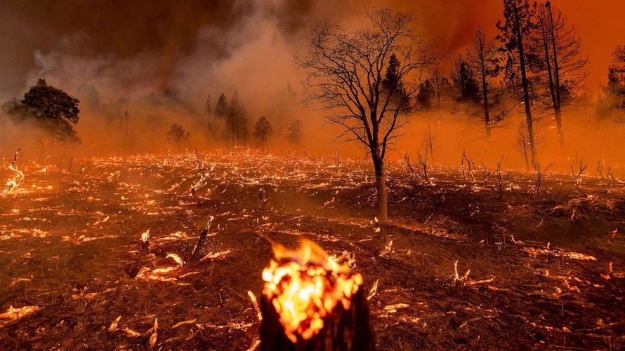 Biến đổi khí hậu làm tăng 25% nguy cơ cháy rừng cấp cực kỳ nguy hiểm