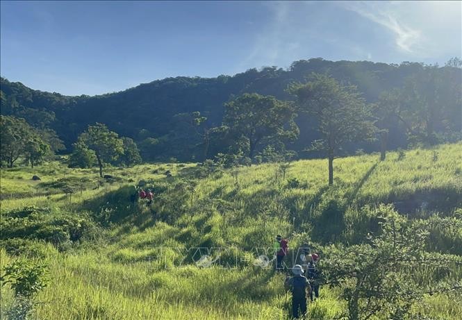 Du khách khám phá hệ sinh thái rừng tại Vườn quốc gia Núi Chúa, tỉnh Ninh Thuận. Ảnh: TTXVN.