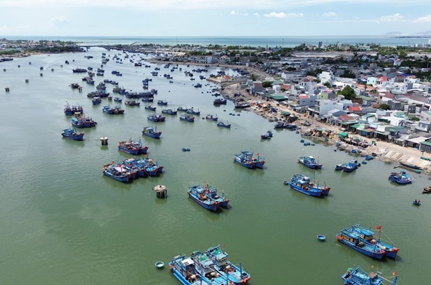 Tàu thuyền của ngư dân cập Đầm Nại để đưa hải sản lên chợ Nại bán buôn. Ảnh: Nguyễn Thành/TTXVN.