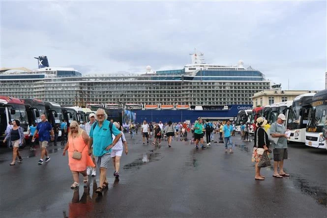 Thừa Thiên-Huế: Cảng Chân Mây đón hơn 3.000 khách du lịch tàu biển