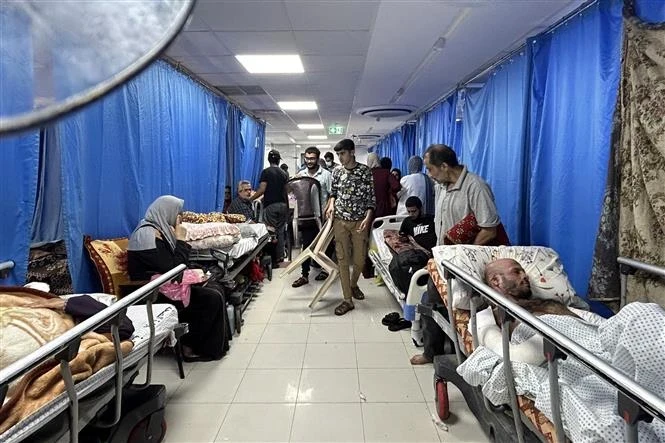 Bệnh nhân được điều trị tại bệnh viện Al-Shifa ở Gaza ngày 10/11/2023. Ảnh: AFP.