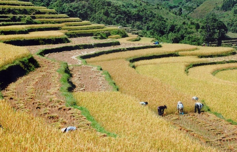 Cao Bằng: Tạo động lực cho nông dân đẩy mạnh sản xuất nông nghiệp
