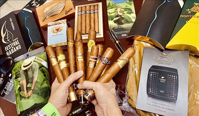 Lễ hội xì gà Cuba sôi động ngày trở lại