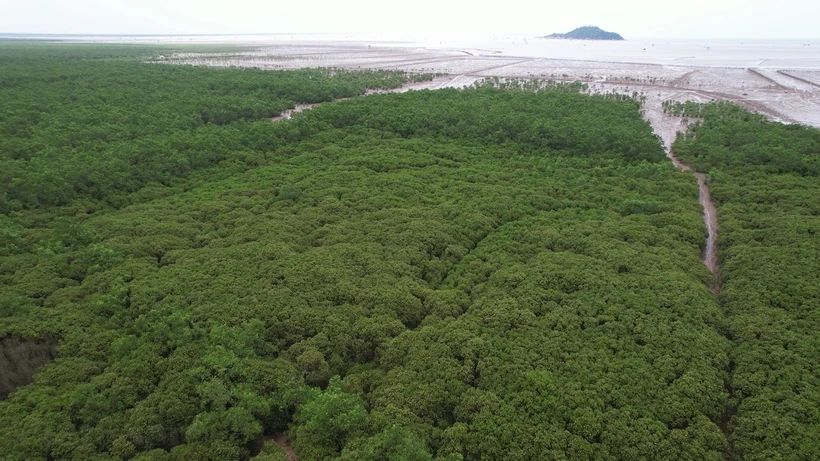 Việt Nam cần duy trì cân bằng hệ sinh thái để giảm phát thải ròng bằng "0"