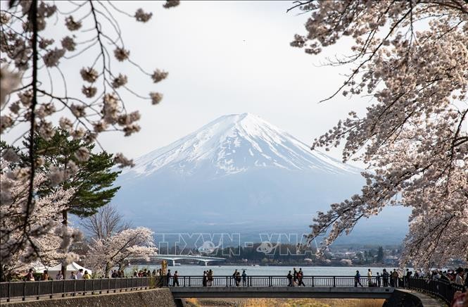 Tránh rủi ro khi xin cấp visa du lịch Nhật Bản mùa cao điểm
