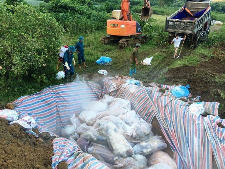Sau 2 ngày nỗ lực, toàn bộ gần 6.000 xác lợn chết đã được huyện Yên Định xử lý.