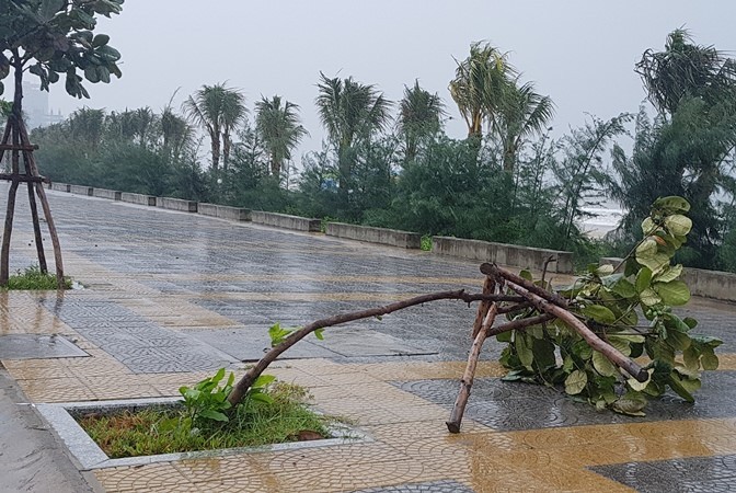 Mưa lớn kéo dài khiến ven biển Đà Nẵng thiệt hại nặng