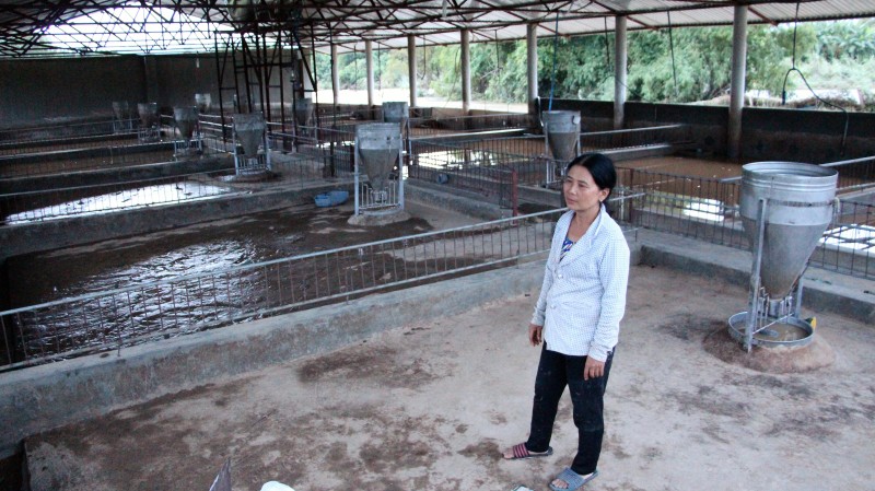 Nước lũ dâng cao, cuốn trôi đàn heo hơn 300 con của bà Phan Thị Hường. Sau 1 đêm, tất cả giờ chỉ là những chuồng trống.