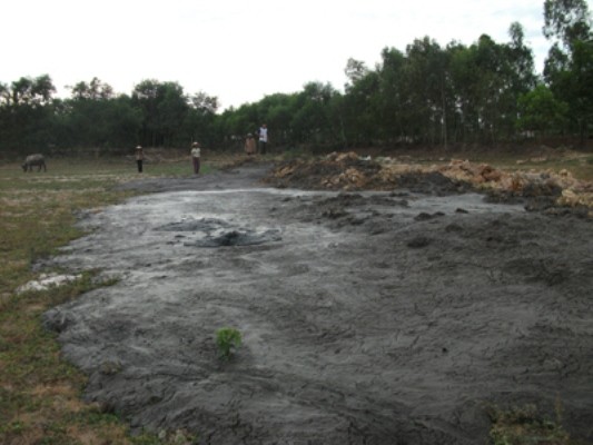 Hình ảnh ô nhiễm môi trường của trại lợn giống Thái Dương