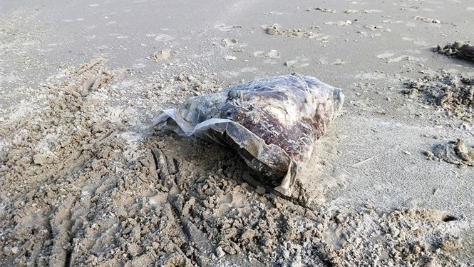 Nhiều túi đựng thịt thối dạt vào bờ biển Thừa Thiên Huế