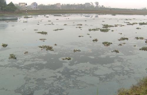 Sông Cửu An ô nhiễm nặng