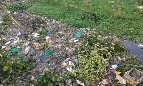 Người dân gần cầu Mỹ Thuận ở Sài Gòn kêu cứu vì kênh ngập ngụa rác