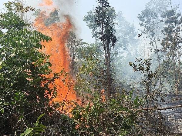 Gió Ô Quý Hồ là tác nhân nguy hiểm gây ra các vụ cháy rừng tại Lào Cai