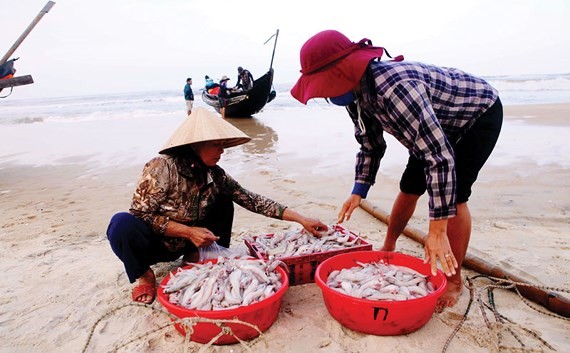 Ngư dân Thừa Thiên - Huế vươn khơi chuyến biển đầu năm Mậu Tuất trúng đậm cá khoai