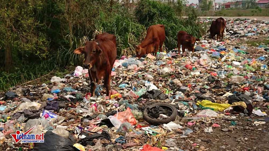 Bãi rác khổng lồ nằm trên đường đê gây ô nhiễm nghiêm trọng