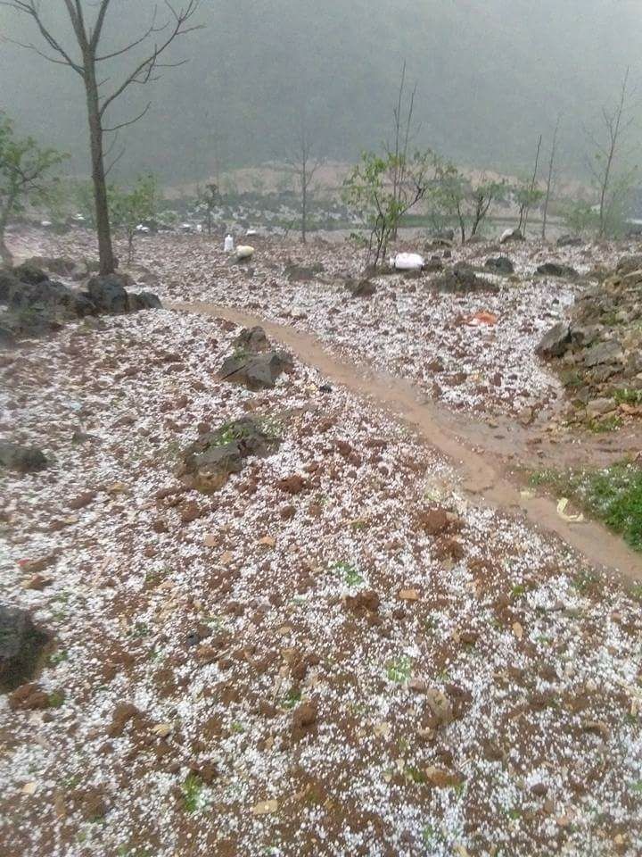 Mưa đá phủ trắng nương rẫy tại huyện Hà Quảng.