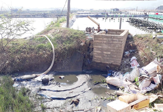 Rác và nước thải từ hồ tôm ở thôn Công Lương (xã Hoài Mỹ) xả thẳng ra kênh mương