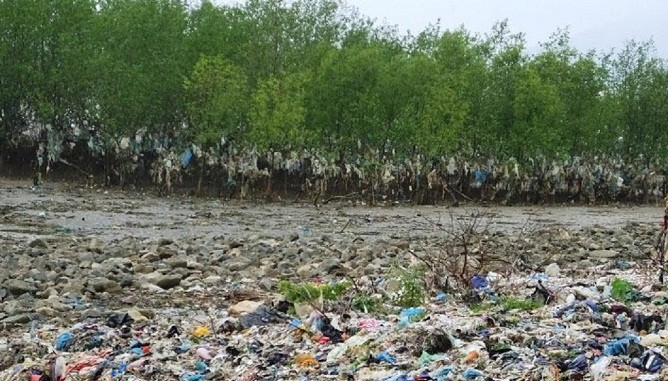 Bạt ngàn rác thải bủa vây rừng phòng hộ