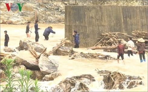 Nhiều người dân Lai Châu vẫn đi vớt củi trong mưa lũ