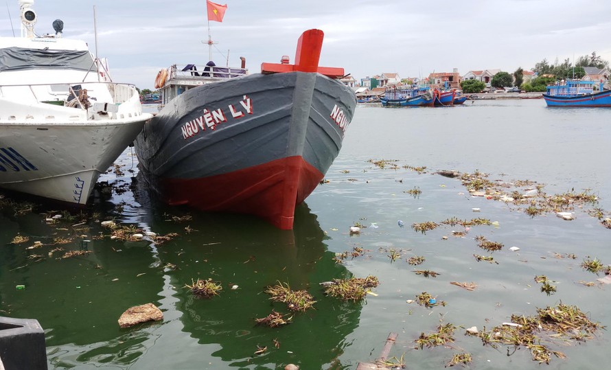 Quảng Ngãi: Rác thải ngập tràn cảng Sa Kỳ
