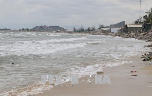 Tuyến bờ biển xã Nhơn Hải bị xói lở nghiêm trọng do sóng biển xâm thực. Ảnh: Nguyễn Thành – TTXVN