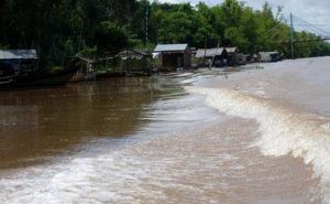 Dự kiến những ngày tiếp theo mực nước tại sông Cửu Long sẽ tăng nhanh