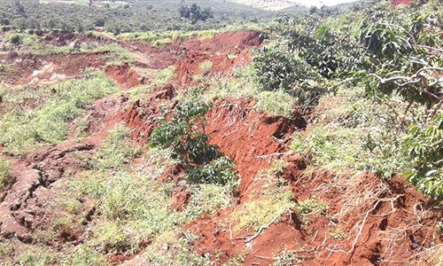 Hiện trường vụ sạt lở đất ở xã Đạ Đờn, huyện Lâm Hà tỉnh Lâm Đồng
