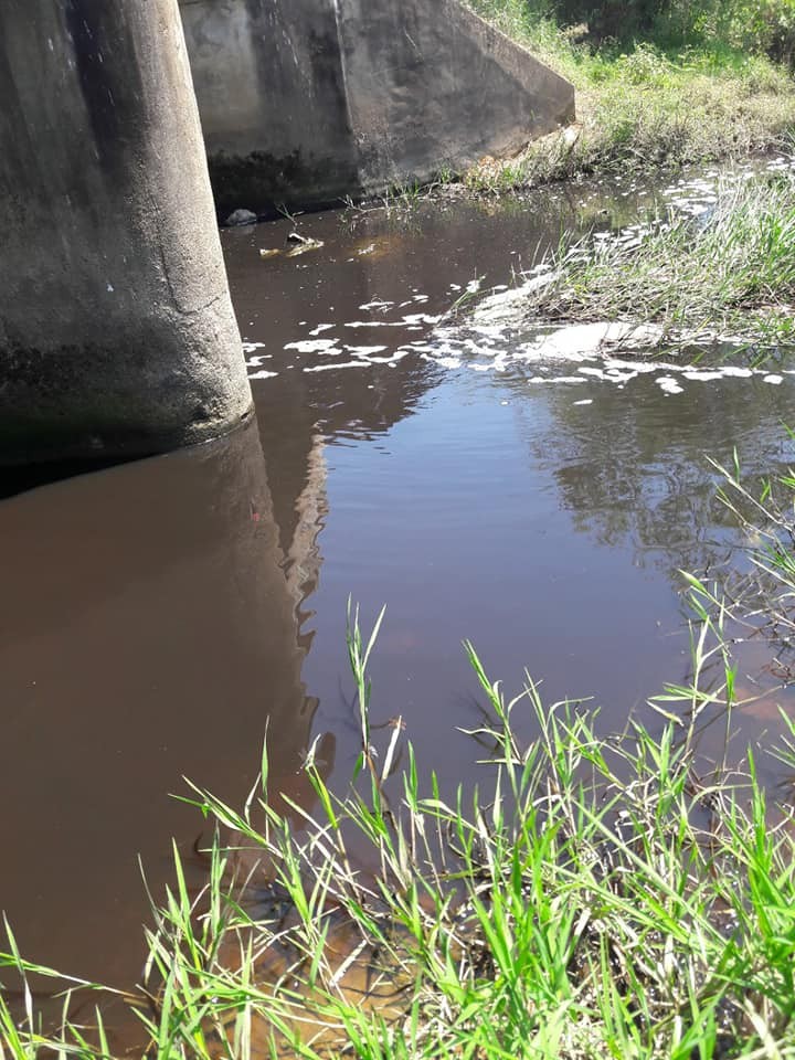 Hà Tĩnh: Nước kênh đen ngòm, cá chết hàng loạt, nghi do rò rỉ từ bãi xử lý rác ở huyện Lộc Hà?
