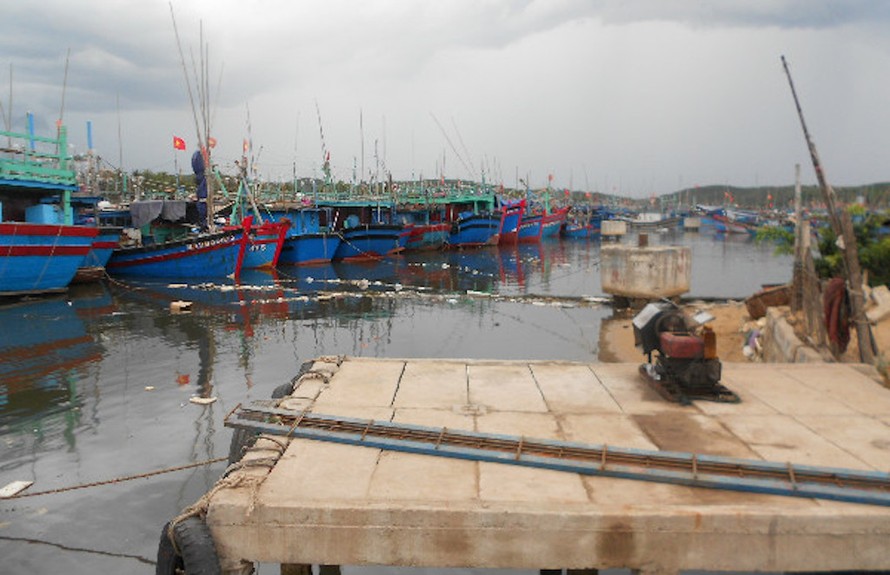Khu vực cảng cá Tam Quan, mỗi ngày có cả trăm tàu thuyền neo đậu. Rác sinh hoạt, chất thải đều xả ngay tại chỗ