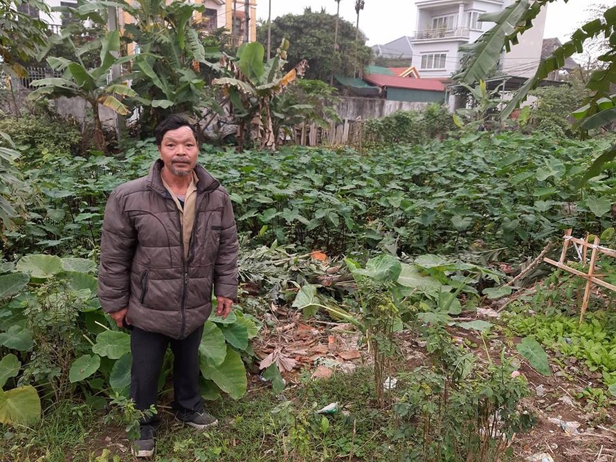 Ông Lê Văn Tráng đứng trên ao Nhang Trân –nơi đang xảy ra tranh chấp quyền sử dụng đất