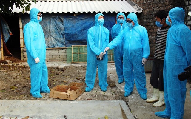 Cơ quan chuyên môn điều tra nguồn nhiễm vi-rút cúm A/H5N6 trên đàn gia cầm ở xã Tân Khang, huyện Nông Cống (Thanh Hóa).