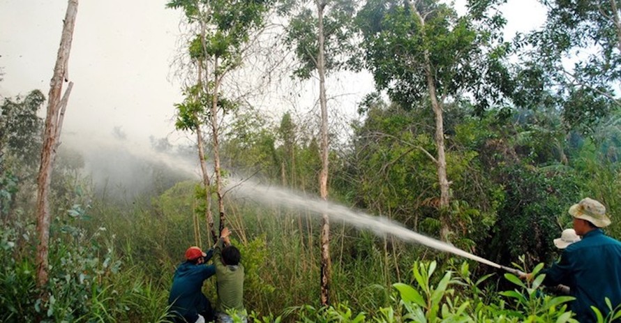 Chữa cháy rừng U Minh Hạ gặp khó khăn giữa mùa khô hạn- ảnh minh hoạ