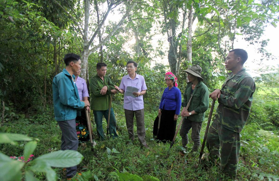 Việt Nam được hưởng lợi ích 'kép' của việc chuyển nhượng lượng giảm phát thải từ rừng