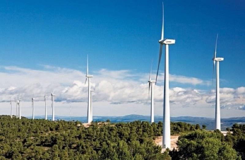 Vietracimex xin chặt rừng xây nhà máy điện gió!