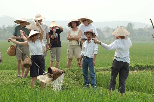 Du lịch Việt Nam: Du lịch nông nghiệp, lợi ích kép của Hà Nội