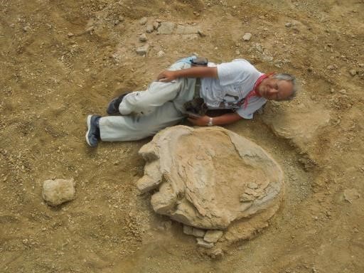Giáo sư của Đại học khoa học Okayama bên cạnh dấu chân khủng long tại sa mạc Gobi (Mông Cổ). Ảnh: AFP
