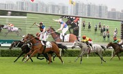 500 triệu USD xây trường đua ngựa tại Bắc Ninh?