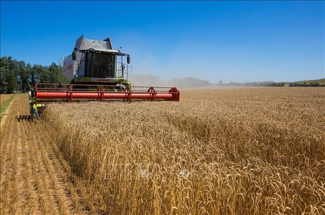 EU: Năm quốc gia cho phép nông sản Ukraine quá cảnh