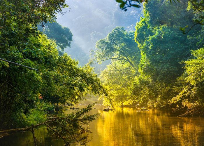 Brazil lựa chọn thành phố ven rừng Amazon là nơi đăng cai COP30