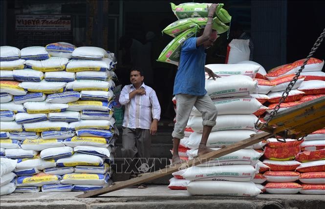 Công nhân vận chuyển gạo tại nhà kho ở Bangalore, Ấn Độ. Ảnh minh họa: AFP