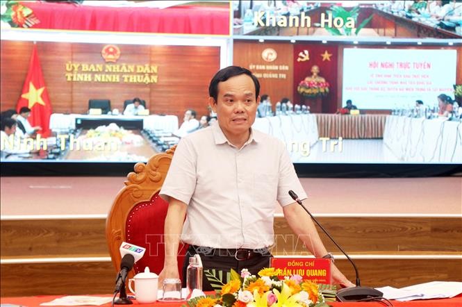 Phó Thủ tướng Chính phủ Trần Lưu Quang phát biểu tại hội nghị. 