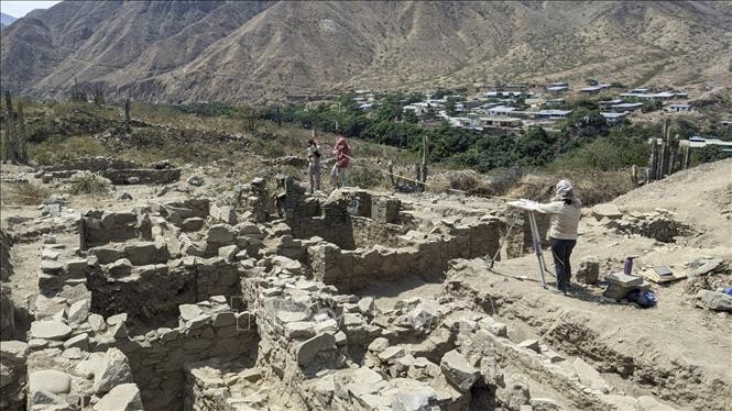 Các nhà khảo cổ khai quật địa điểm thờ cúng thời kỳ tiền Colombo thuộc nền văn hóa Wari ở vùng Cajamarca, Peru. Ảnh: AFP.