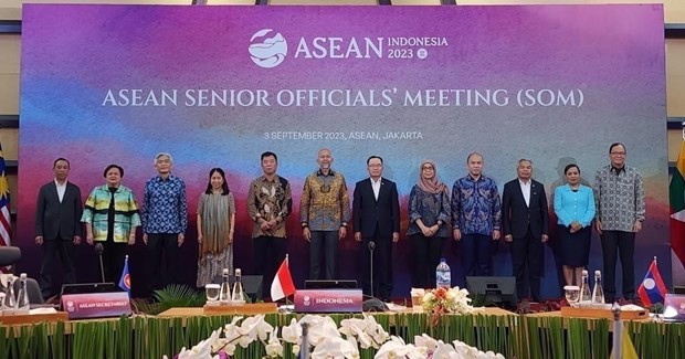 Các quan chức cao cấp (SOM) ASEAN tham dự Hội nghị chụp ảnh lưu niệm. (Ảnh: TTXVN phát)