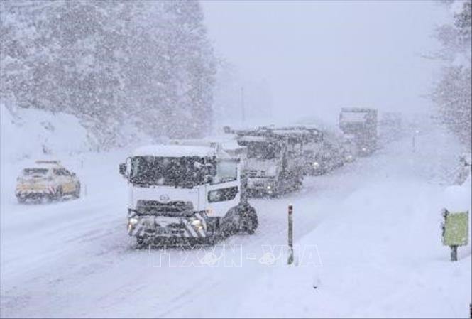 Đức: 760 chuyến bay bị hủy do tuyết rơi dày kỷ lục