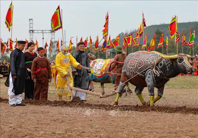Tái hiện cảnh nhà Vua xuống đồng cày ruộng đầu năm mới tại lễ hội. Ảnh tư liệu: Thanh Tùng/TTXVN