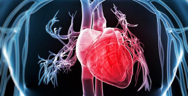 Phát hiện đột biến gene tạo máu liên quan đến nguy cơ mắc bệnh tim