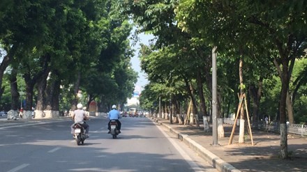 Hà Nội chặt chuyển hơn 100 cây xanh phố Kim Mã
